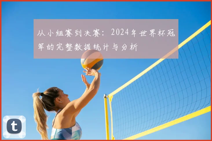 从小组赛到决赛：2024年世界杯冠军的完整数据统计与分析