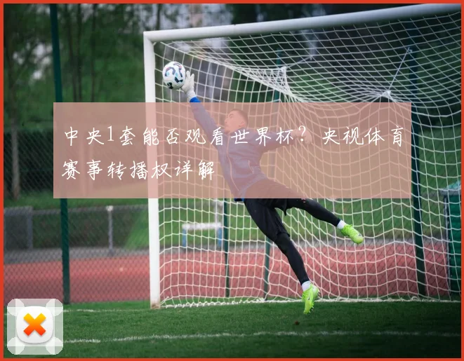 中央1套能否观看世界杯？央视体育赛事转播权详解