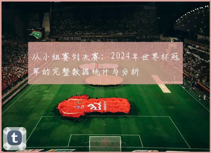 从小组赛到决赛：2024年世界杯冠军的完整数据统计与分析