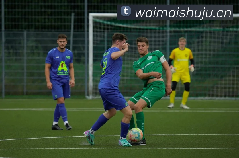 开云手机入口APP 封面图